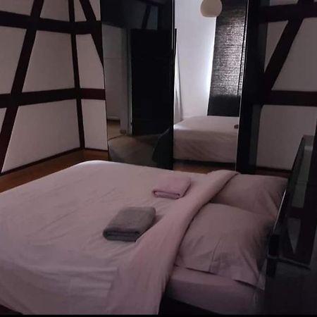 Spacious Appartement Colmar 2 Eksteriør bilde