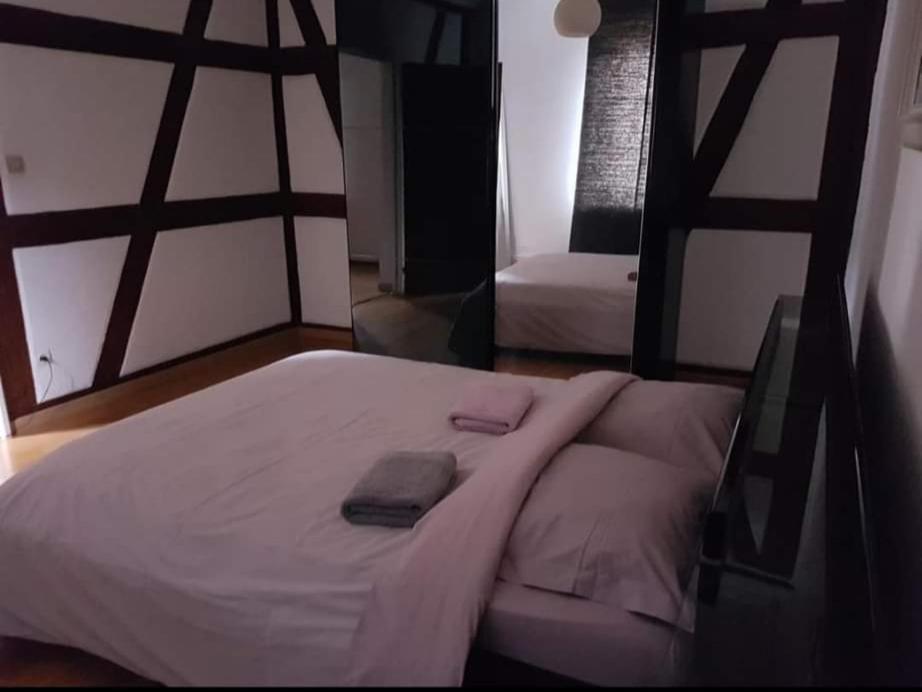 Spacious Appartement Colmar 2 Eksteriør bilde